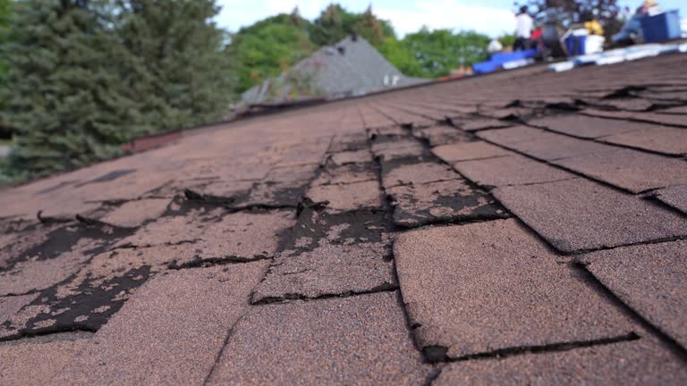 Best Hot Roofs  in Dupont, WA