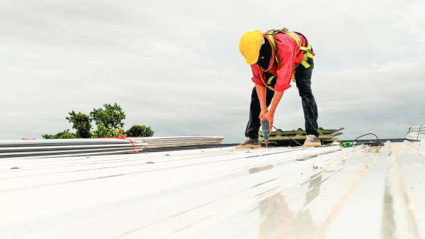 Best Sheet Metal Roofing  in Dupont, WA